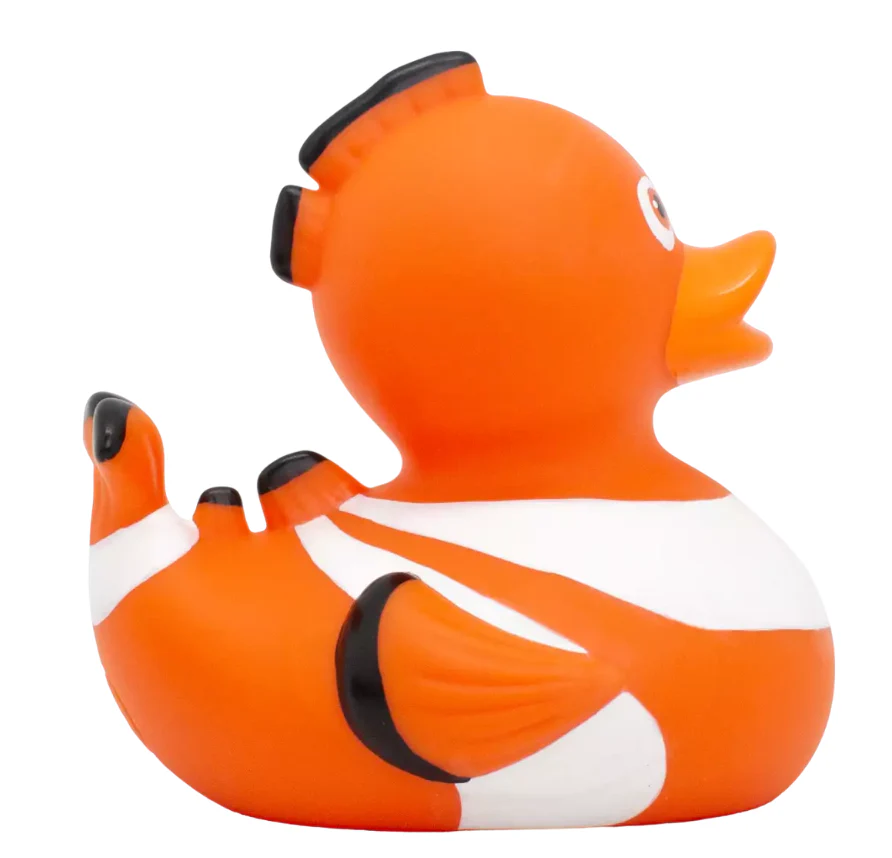 Clown Fish Duck - Image 5