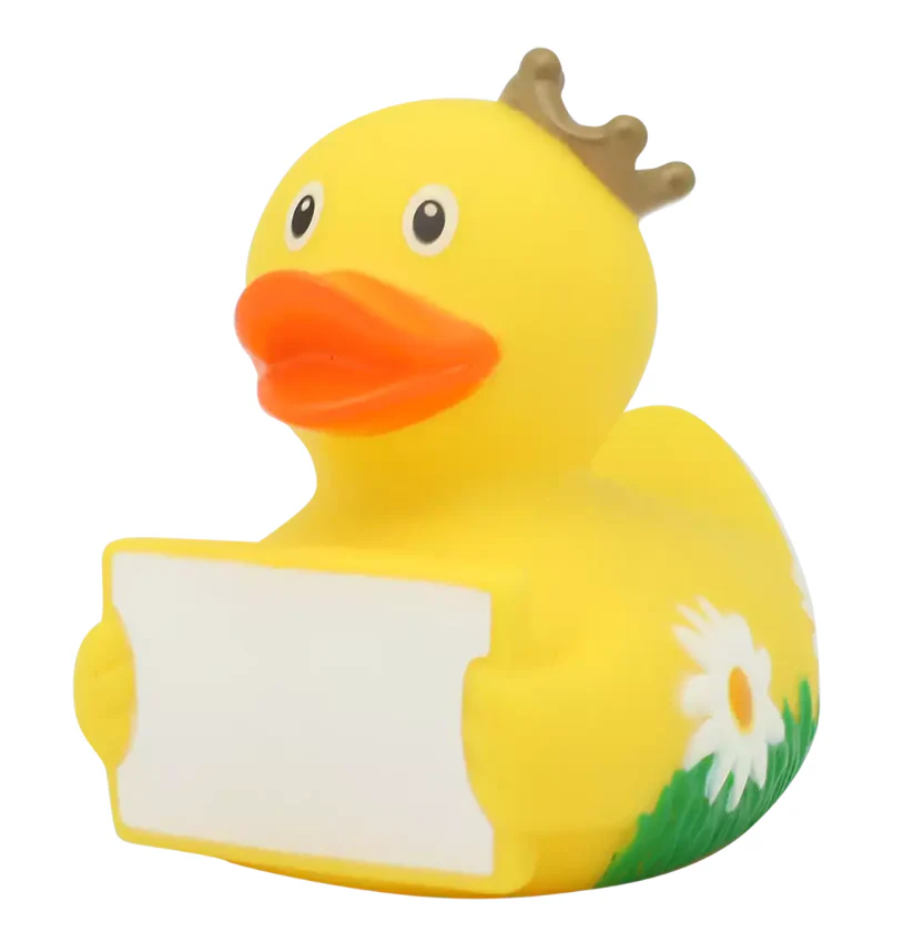 Duck with Greeting Sign - Image 7
