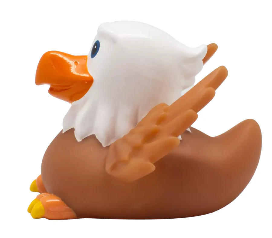 Eagle Duck - Image 5